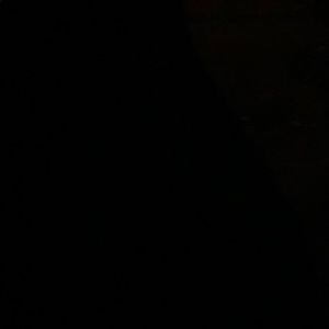 Meet your Posher, Rocco